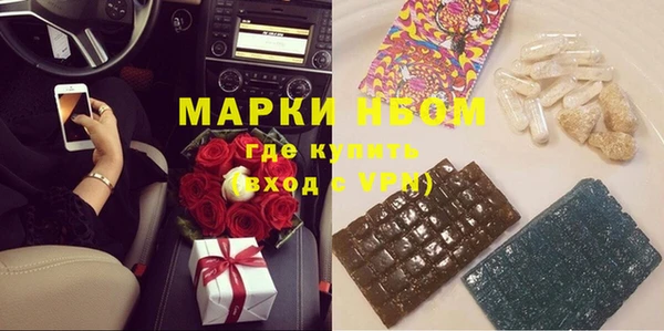 индика Абаза