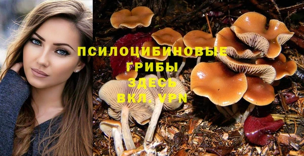 соль курить ск Абинск