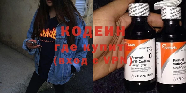 индика Абаза