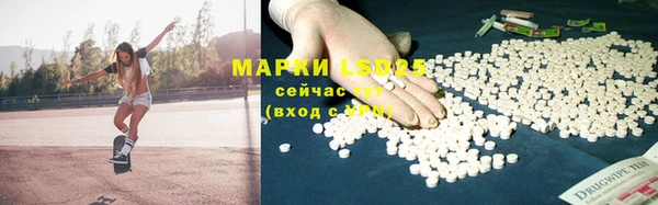 индика Абаза