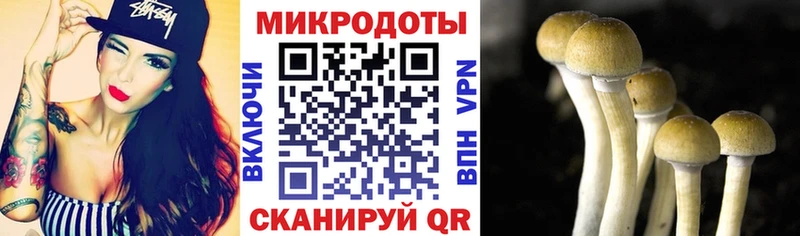 Псилоцибиновые грибы мицелий  Ильский 